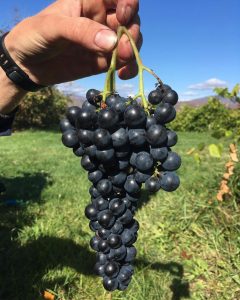 Domaine_Sainte-Famille