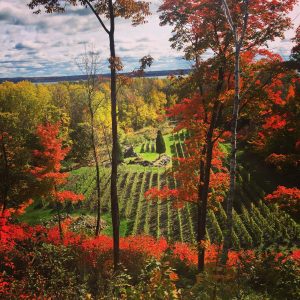 Domaine_des_3_moulins
