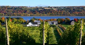 Vignoble_domaine_lange_gardien